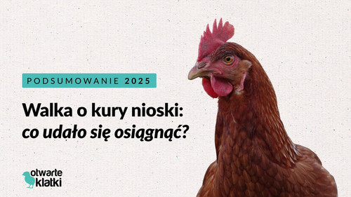 HA5bIY7XkAAZzU2?format=jpg.jpg