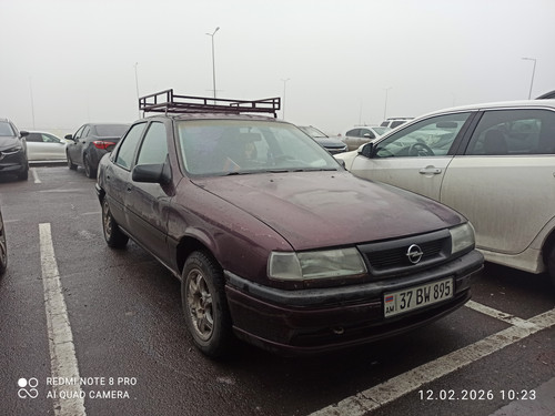 IMG 20260212 102303.jpg