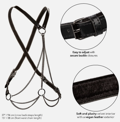 Знімок екрана 2026 02 12 о 13.50.47.png