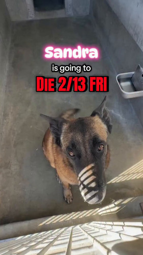 nZV3a0R6lL sKkjs.jpg