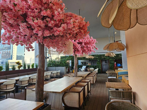 Best Asian Restaurant in Dubai Studio City JALA Dubai.jpg