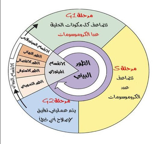 HA8WPH8a8AARF70.jpg