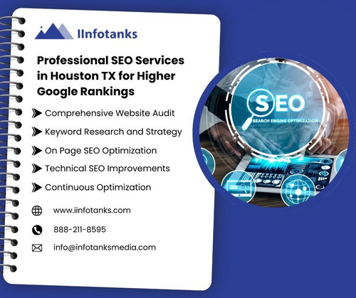 Professional SEO Services in Houston TX for Higher Google Rankings.jpg