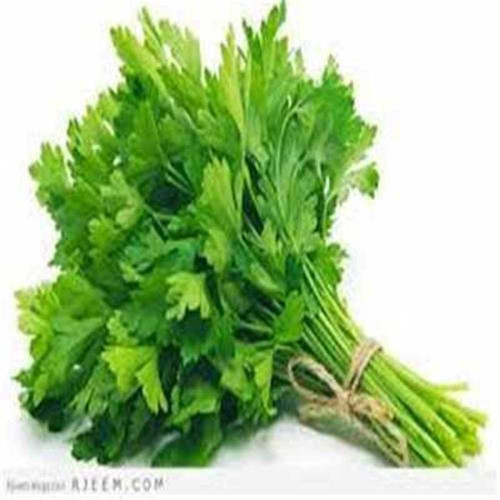 AFE373D9 EE76 4D1E AE0D C203F685846A.jpg