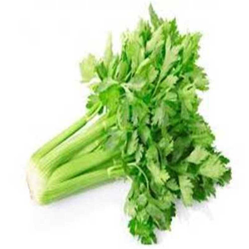 AB542427 CFC9 44DE B895 4C592447A77D.jpg