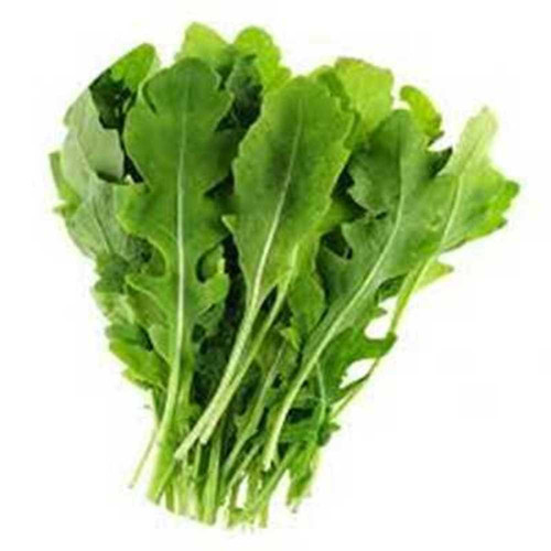 BC5C2797 DFFD 4AFB BEE3 5C1C237FA1F4.jpg