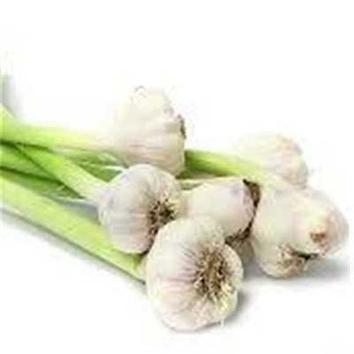 52151185 38A6 496C ABFE BCF0D4DD949B.jpg