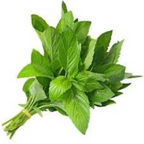 BCC3A2ED BB3E 43F6 9038 A024659F388C.jpg