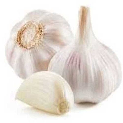 F062A22B 746A 431B 9150 19B6C5876464.jpg