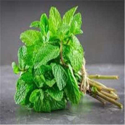 3F5BCF14 37A8 4D55 9E5D 242505A0E891.jpg