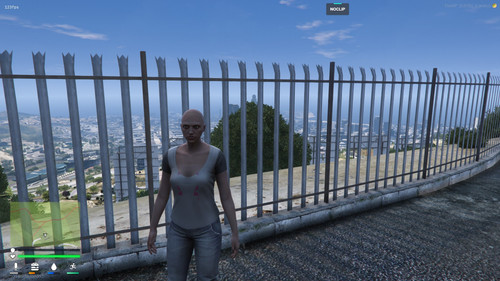 FiveM GTAProcess zckJGgVwd3.jpg