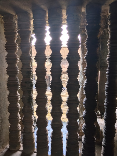 IMG 20251021 104609.jpg