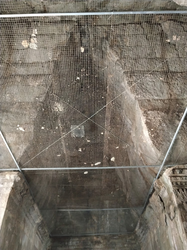 IMG 20251021 104523.jpg