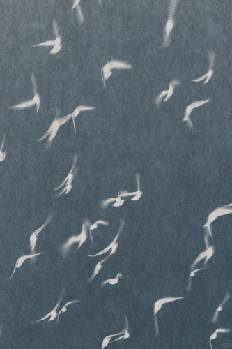 1040g2sg31r83k0h4gm505p5mj6956vo9oaaj3a0!nd dft wlteh jpg 3.jpg