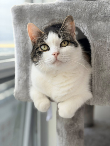 649667632 913452364809643 3286589042384285709 n.jpg