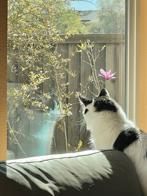 648785097 711920425341109 49802506109173785 n.jpg