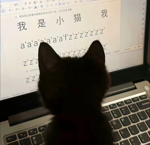 Screenshot 2026 03 10 02 38 26 46 84d3000e3f4017145260f7618db1d683.jpg