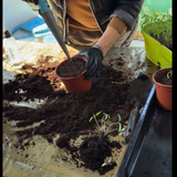 Screenshot 2026 03 10 at 2.26.55.png