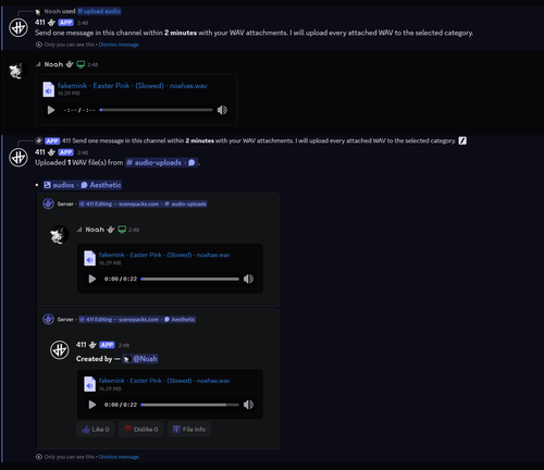 Audio Uploading Example.png