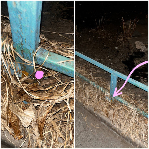 381C786C BECA 49EA A46F F622011936EB.jpg