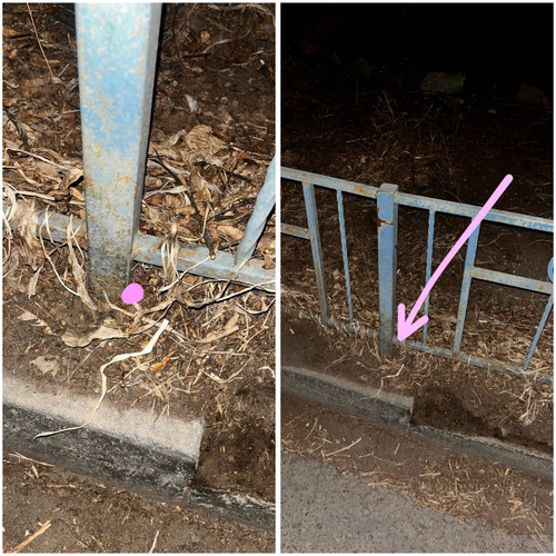 BCA9ABCF 11C1 4926 B9F8 06FC0631726F.jpg