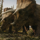 The.Dinosaurs.S01E01.Rise.2160p.NF.WEB DL.CZ EN.DD+5.1.Atmos.DoVi.HDR.H.265 BiOMA.mkv 20260309 17403