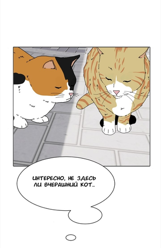 IMG 20260309 200216 313.png