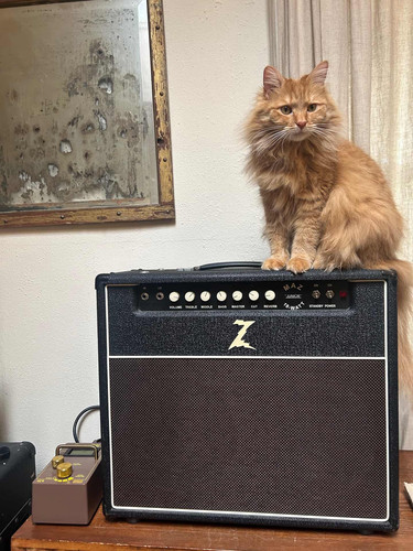 648416610 1349011917267756 2889190540074506017 n.jpg