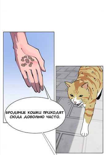 IMG 20260309 200133 197.png