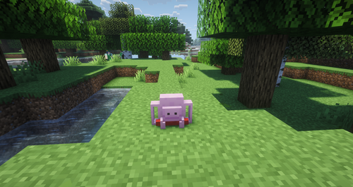 2026 03 09 17.41.51.png