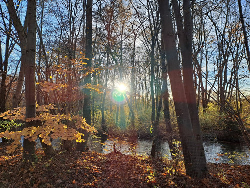 HC f3hqaEAAmJCx?format=jpg.jpg