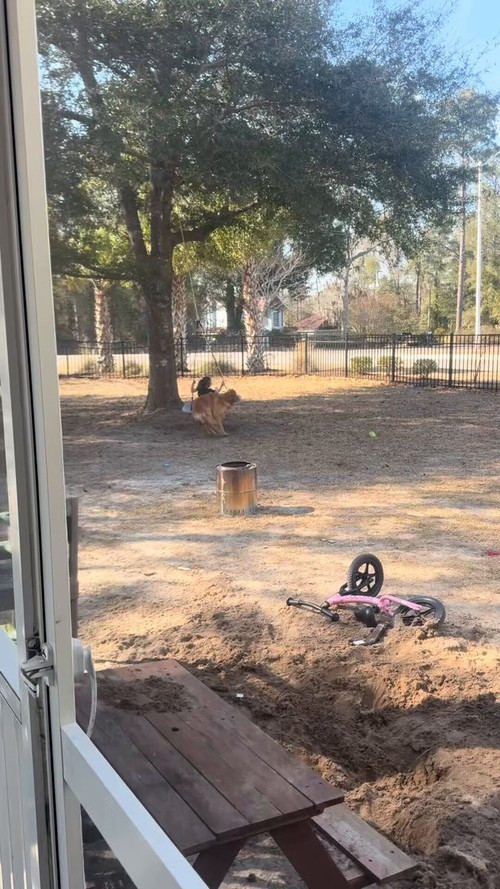 mE UDNlg7 Z6yAjU.jpg