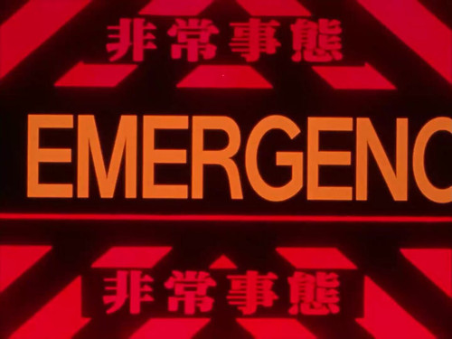 4yztE7Txri jY6z0.jpg