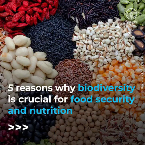 eDWQtWa3yM LhUDe.jpg