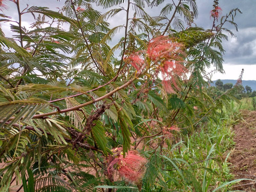 HC JKnQXgAAo8UM?format=jpg.jpg