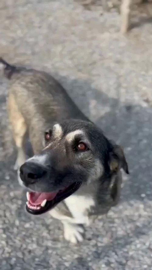 jy0UpGtM8xE hdPH.jpg