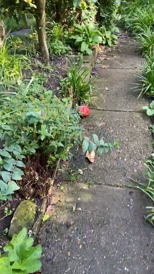 1eHpm G839jwuosJ.jpg