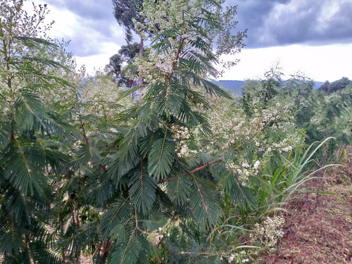 HC JKpOXQAEAzUR?format=jpg.jpg