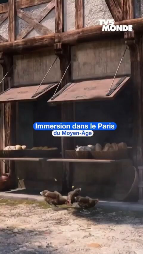 8 Ws 6C0dh4NFhne.jpg