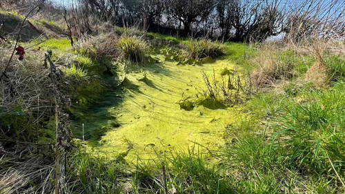 UhWQb 3PH4YqJZ08.jpg