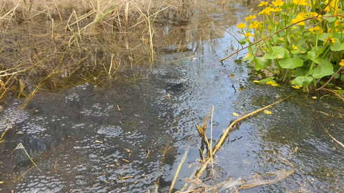 MOImmsrhpY OjCL2.jpg