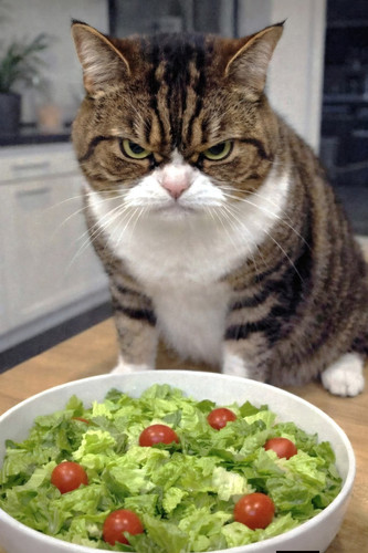 648392257 900431336110279 8523860983523887485 n.jpg