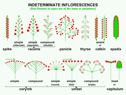 GeOo 5RWkAAqCSJ?format=jpg.jpg