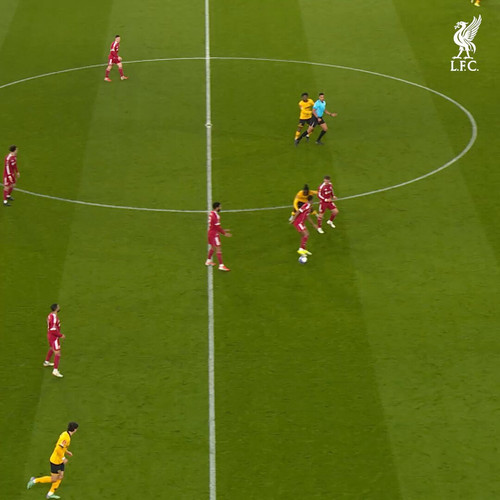 xpC9zRxN WViuBQR.jpg