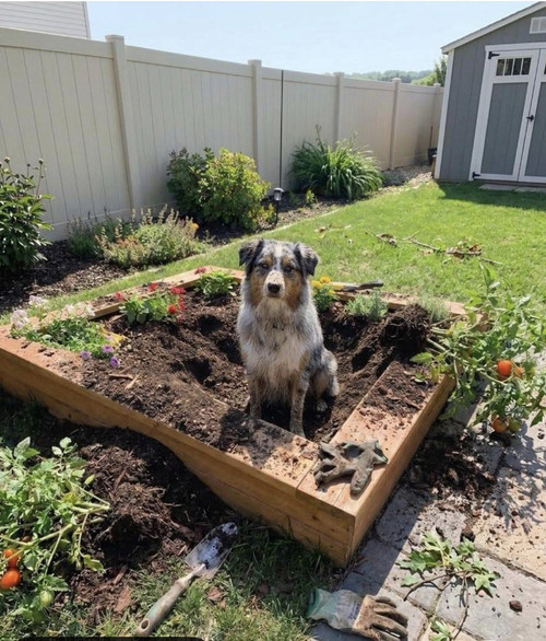 HC94 gwWsAASAmT?format=jpg.jpg