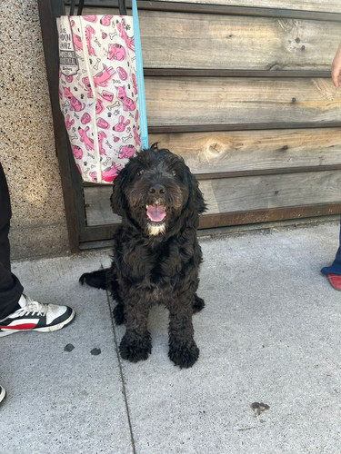 HC UgTNX0AAWpNm?format=jpg.jpg