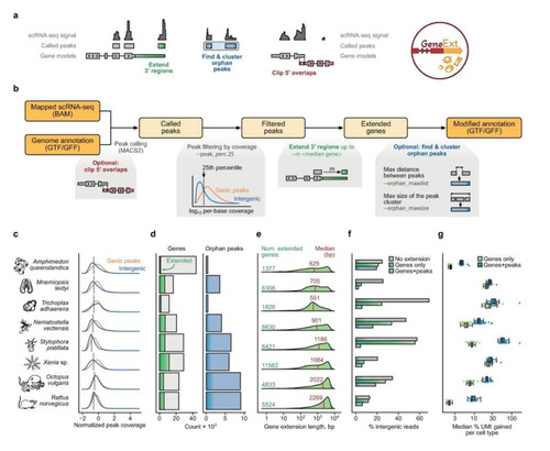 HC6fHrdWIAAKkB ?format=jpg.jpg