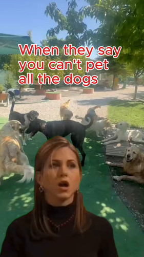 k1yd4ATZrD m lDj.jpg