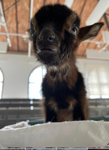 HC YqUQaAAAUDv3?format=jpg.jpg