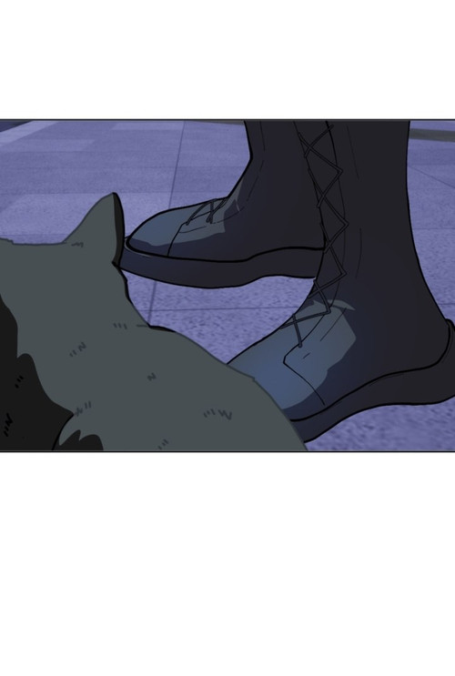 IMG 20260309 214918 608.jpg